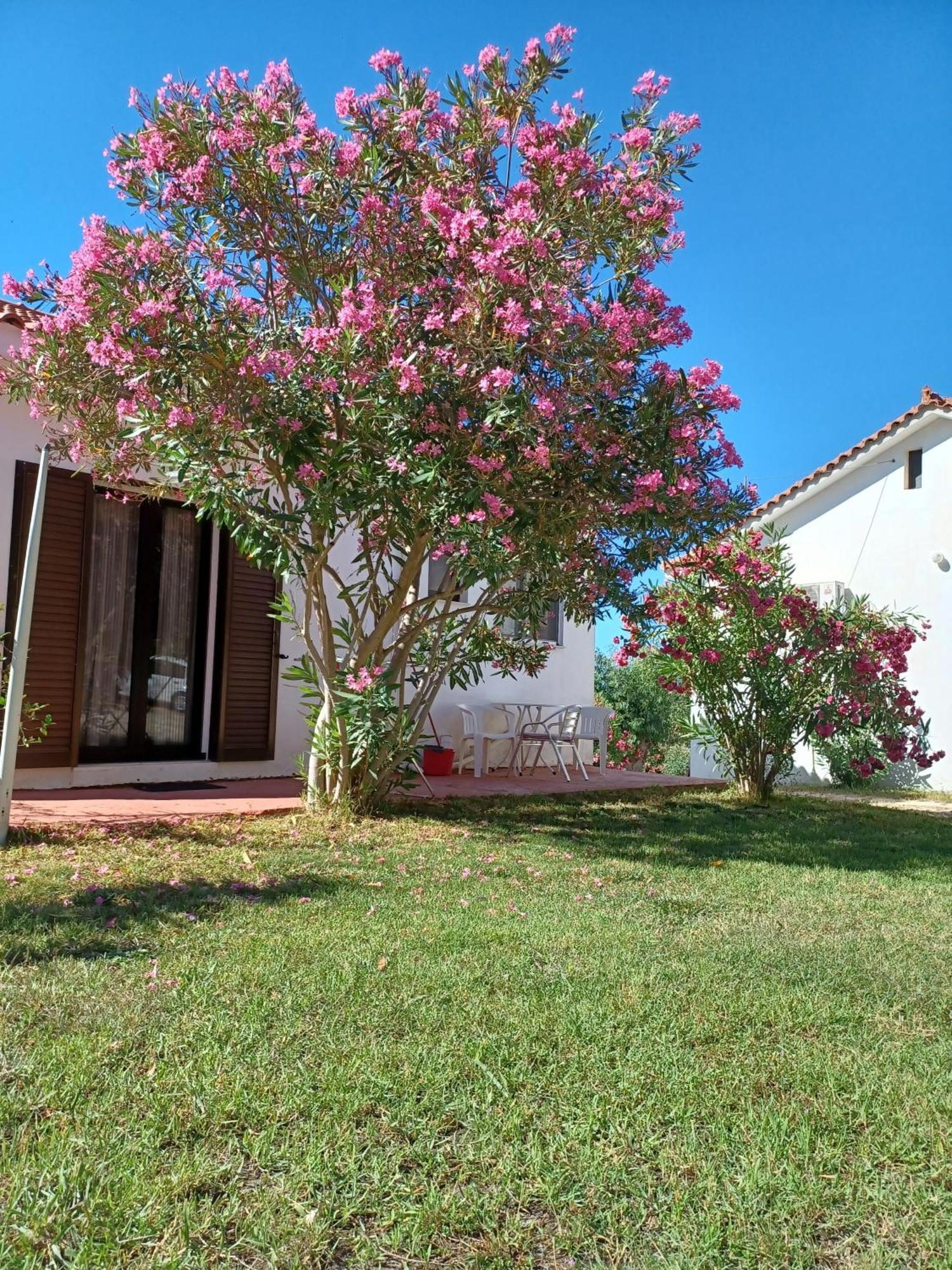 Nerissa Bungalow 2, Two Bedroom House With Sea View Sparta Exterior foto